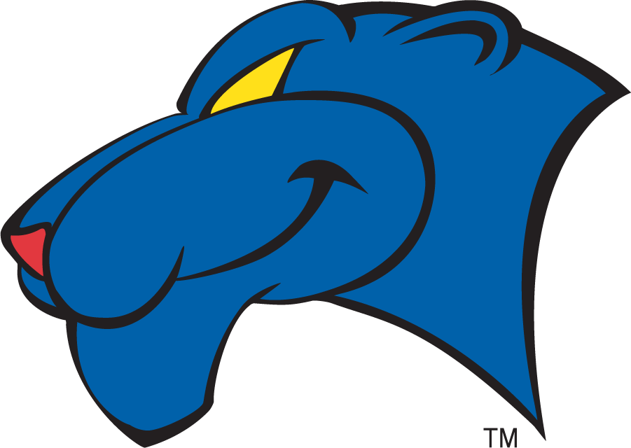 Georgia State Panthers 2002-2009 Secondary Logo v2 iron on transfers for clothing